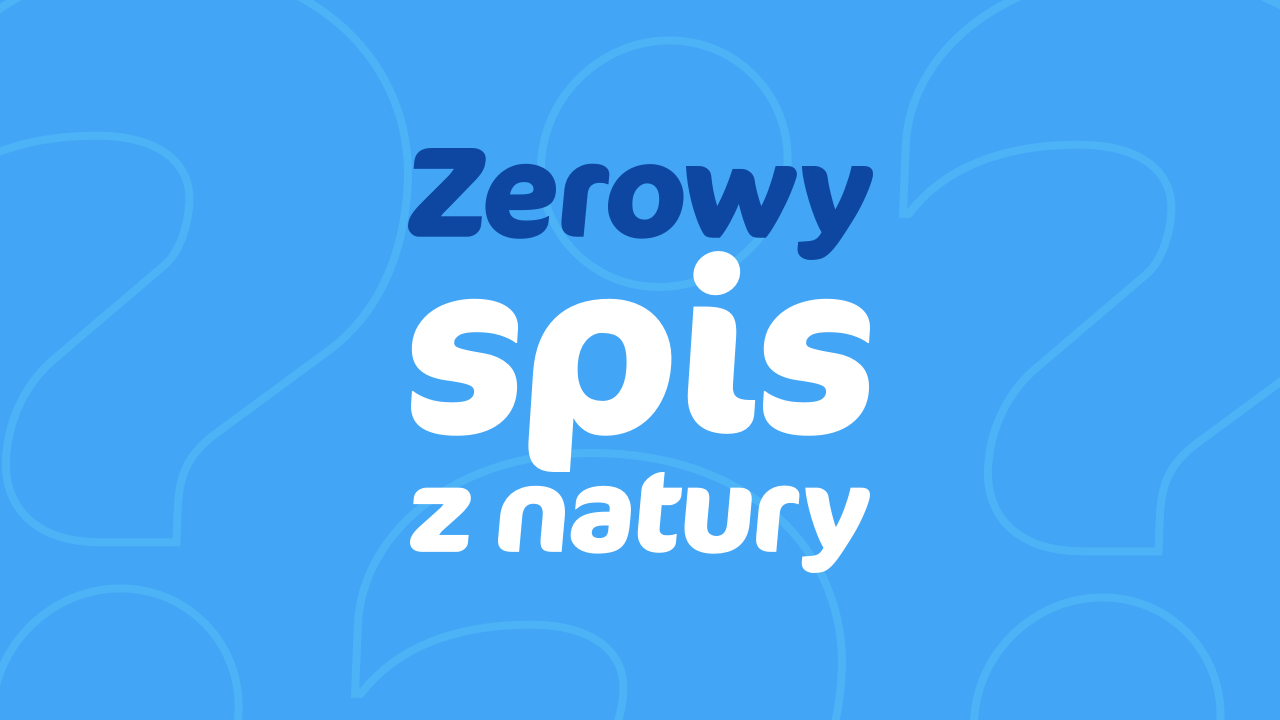 Zerowy Spis Z Natury Jak Go Sporządzić I Ująć W Kpir Blog Infakt 8063